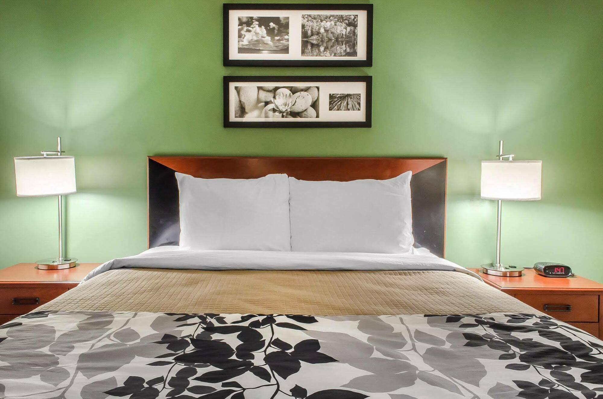 Sleep Inn Near Penn State - State College, Pa Dış mekan fotoğraf